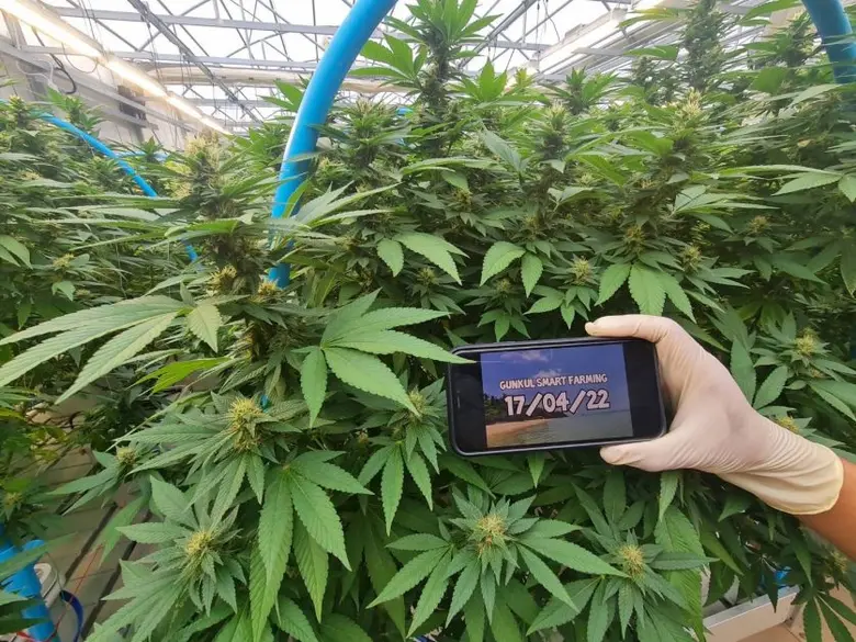 บมจ.กันกุลเอ็นจิเนียริ่ง (GUNKUL) มั่นใจต...