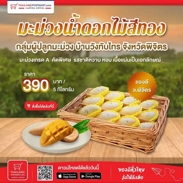 ไปรษณีย์ไทยพาตามรอยความฟินแบบมิลลิ  กับ "มะม่วงน้ำดอกไม้สีทองคัดเกรด" อร่อยทันใจผ่านไทยแลนด์โพสต์มาร์ท