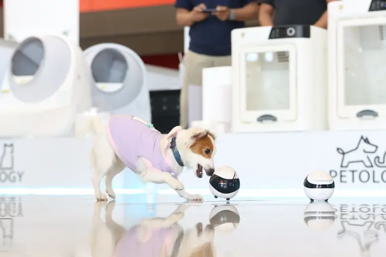 พร้อมแล้ว PET Expo Thailand 2022 ครั้งที่ 22 กับธีมสุดล้ำ "Petaverse" เผยปี'65 เทรนด์เทคโนโลยีนวัตกรรมสัตว์เลี้ยงมาแรง