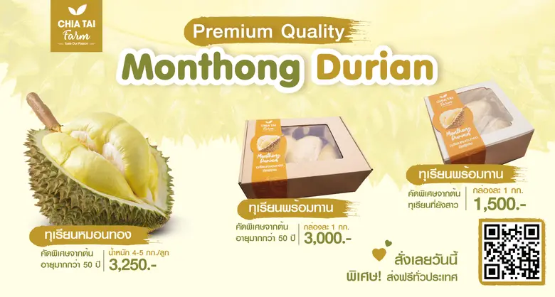 ทุเรียนหมอนทองพรีเมียมเจียไต๋ฟาร์ม พร้อมเปิดรับพรีออเดอร์แล้ว คัดพิเศษจากต้นอายุ 50 ปี เอาใจแฟนคลับทุเรียน