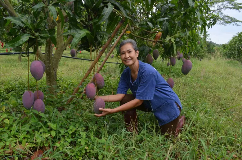 สำนักงานการวิจัยแห่งชาติ (วช.) กระทรวงการ...