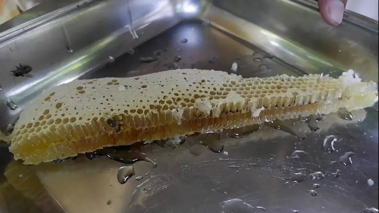 นายเข้มแข็ง ยุติธรรมดารง อธิบดีกรมส่งเสริ...