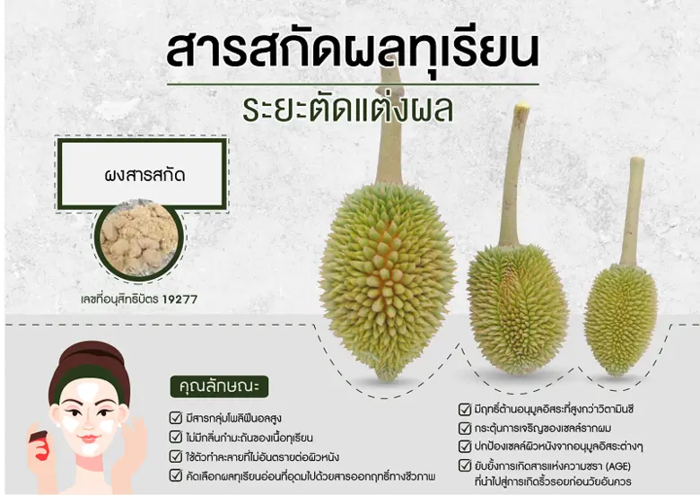 ทีมวิจัยคณะวิทย์ฯ จุฬาฯ ค้นพบสารสกัดในทุเ...