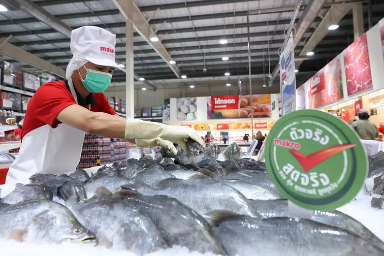 กลุ่มธุรกิจแม็คโคร "สร้างงาน สร้างคน" หนุนการขยายสาขาและธุรกิจดิจิทัล วางกลยุทธ์พัฒนาบุคลากร สร้างงานใหม่กว่า 3,300 ตำแหน่ง