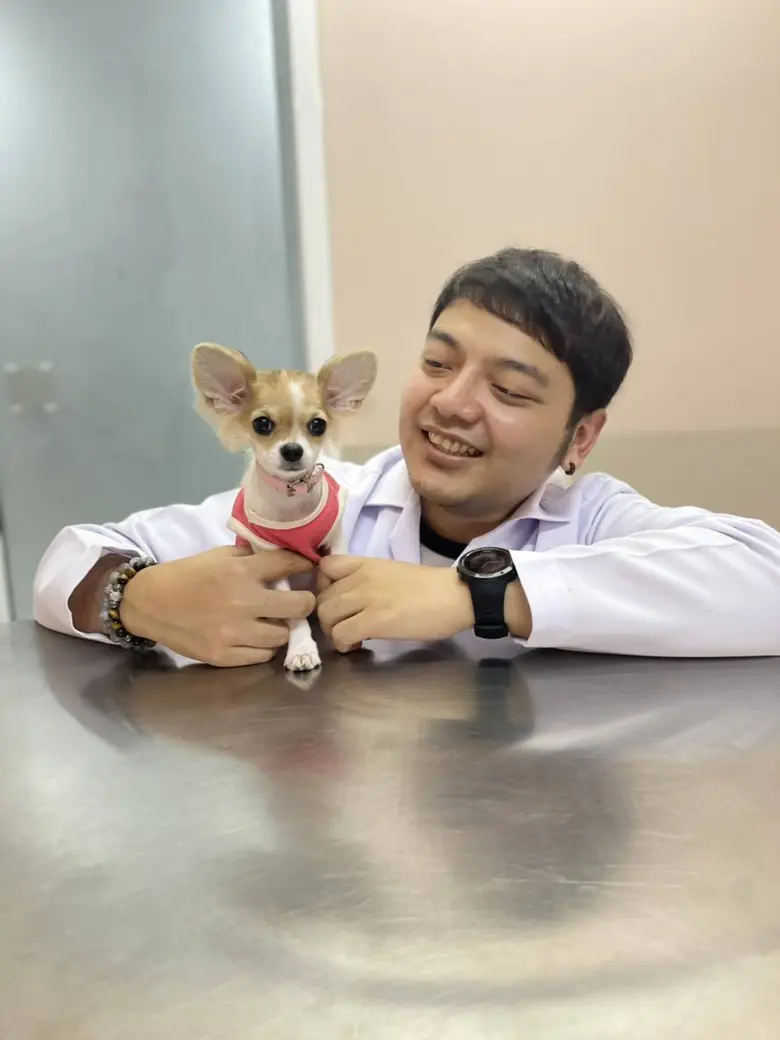 สำหรับน้องหมา ฟันนอกจากจะมีไว้สำหรับบดเคี...