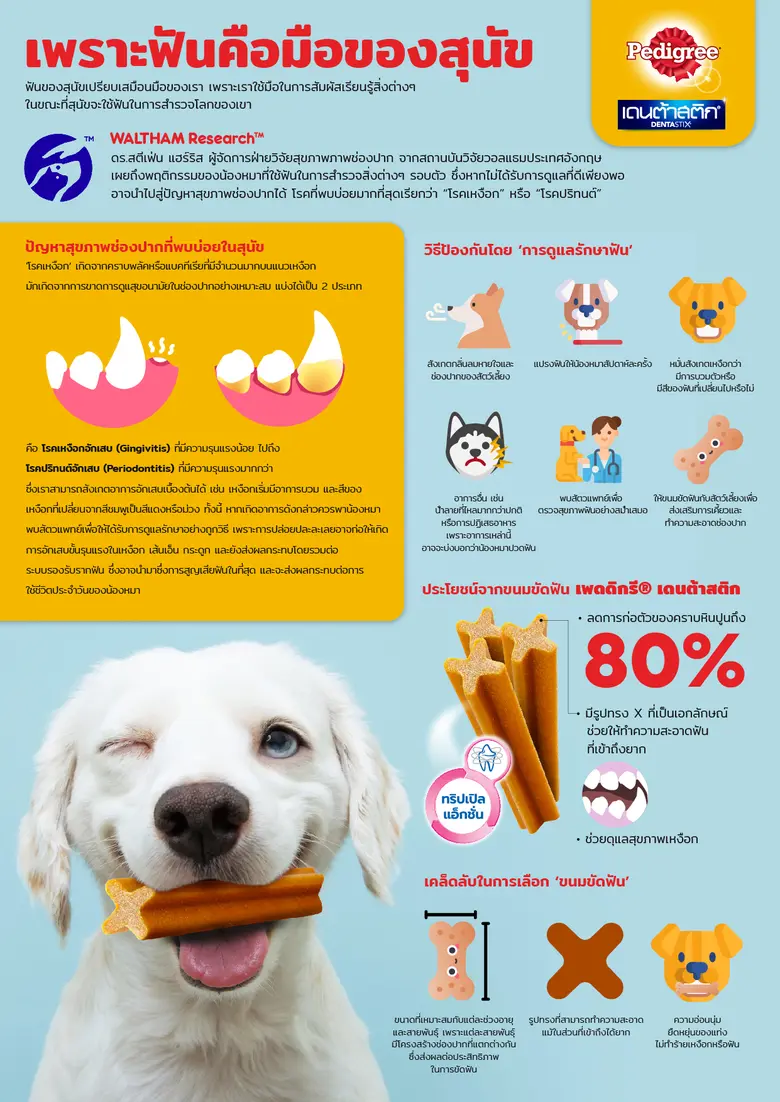เพราะฟันคือมือของสุนัข