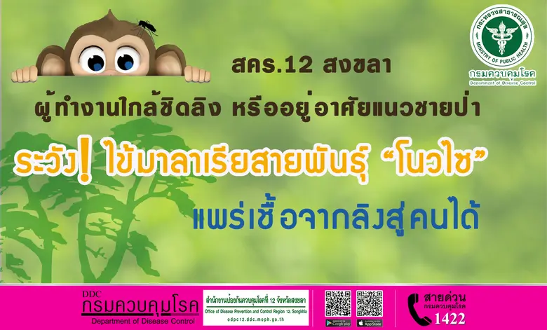 สำนักงานป้องกันควบคุมโรคที่ 12 จังหวัดสงขลา เตือนผู...