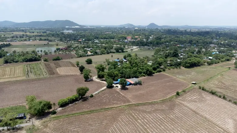 เยอรมนี ชู "ไทย ไรซ์ นามา" ต้นแบบโครงการทำนาลดโลกร้อน เพิ่มประสิทธิภาพการผลิตและรายได้เกษตรกร