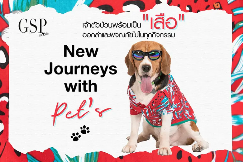 เปิดประเทศครั้งนี้ เตรียมตัวเที่ยวรับซัมเ...