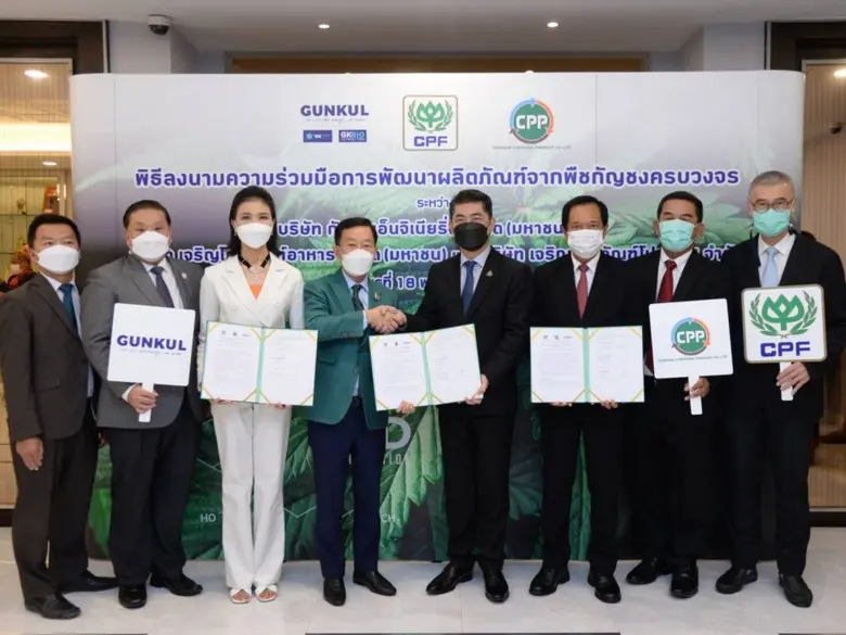 CPF ผนึกพลัง GUNKUL และ CPP พัฒนาอาหาร-เครื่องดื่มจากสารสกัดกัญชง รับเทรนด์สุขภาพ