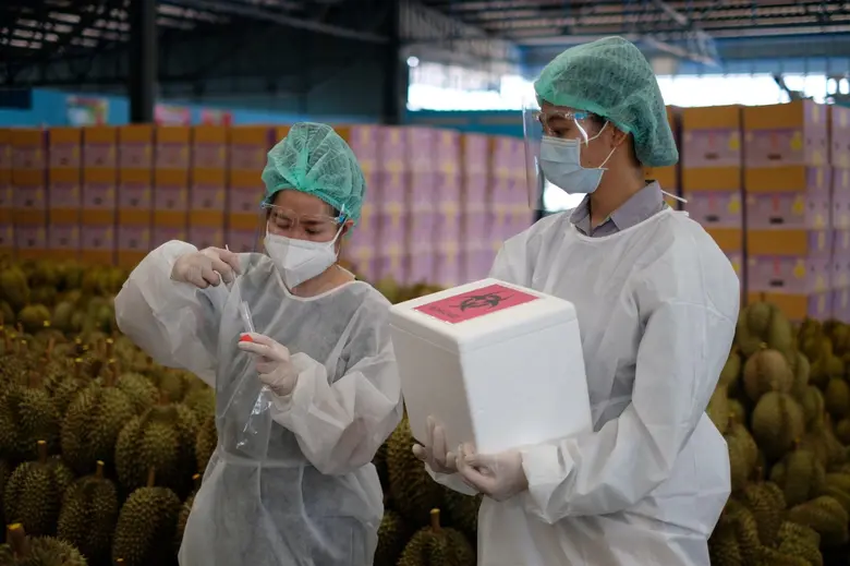 จังหวัดจันทบุรี จับมือ อัลฟ่า คอม เสริมแกร่งเศรษฐกิจไทย นำร่องคัดกรองทุเรียนเตรียมส่งออก  ด้วย "ห้องปฏิบัติการเคลื่อนที่ตรวจหาเชื้อโควิด-19 โดยเทคนิค CRISPR"