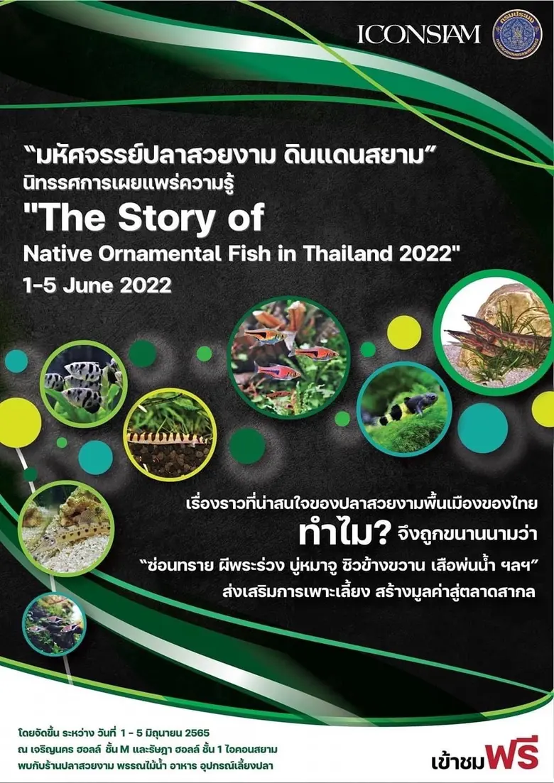 กรมประมง จับมือ ไอคอนสยาม ร่วมเปิดโลก "มหัศจรรย์ปลาสวยงามดินแดนสยาม" 1-5 มิถุนายน  นี้