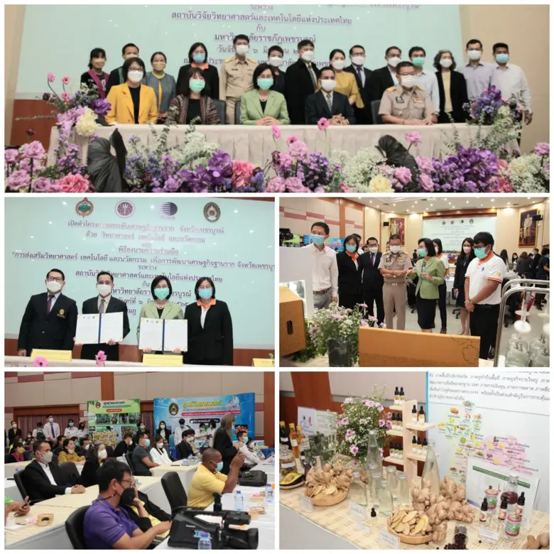 ศ. (วิจัย) ดร.ชุติมา เอี่ยมโชติชวลิต ผู้ว...