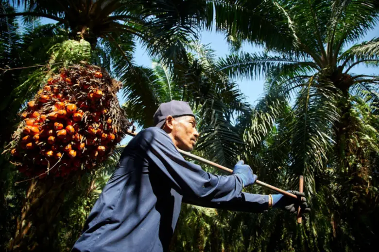 เกษตรฯ จับมือภาคเอกชน เดินหน้าขยายอุตสาหกรรมน้ำมันปาล์มไทยสู่ตลาดโลก