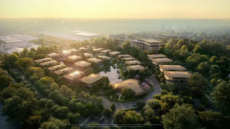 MQDC หรือ แมกโนเลีย ควอลิตี้ ดีเวล็อปเม้น...