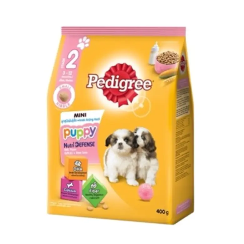 เสริมภูมิคุ้มด้วยอาหารการกิน เพื่อให้สุขภาพที่ดีของเพื่อนรักสี่ขา