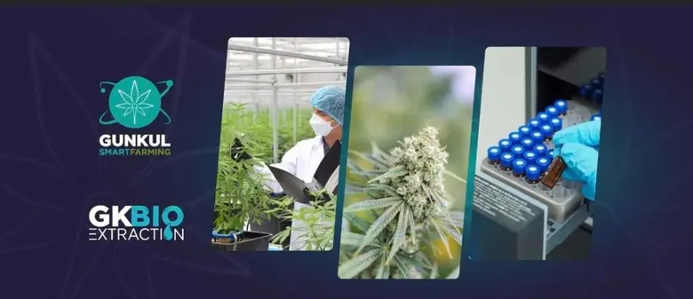 GUNKUL ขานรับ สธ.ปลดล็อกกัญชา-กัญชง  มั่นใจสร้างแรงขับเคลื่อนศก.ไทยผงาด  พร้อมส่งออกช่อดอกลุยตลาดตปท.เสริมทัพแกร่ง