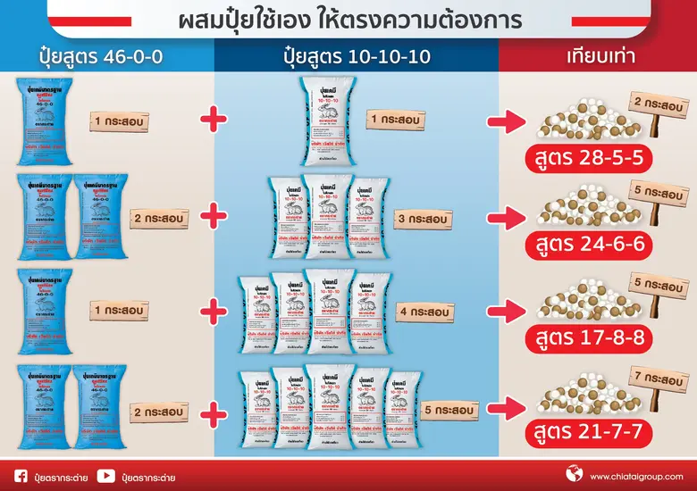 ปุ๋ยตรากระต่ายเปิดตัวปุ๋ยสูตรใหม่ 10-10-10 ทางเลือกใหม่เพื่อเกษตรกร เหมาะสำหรับข้าวและพืชไร่ทุกชนิด