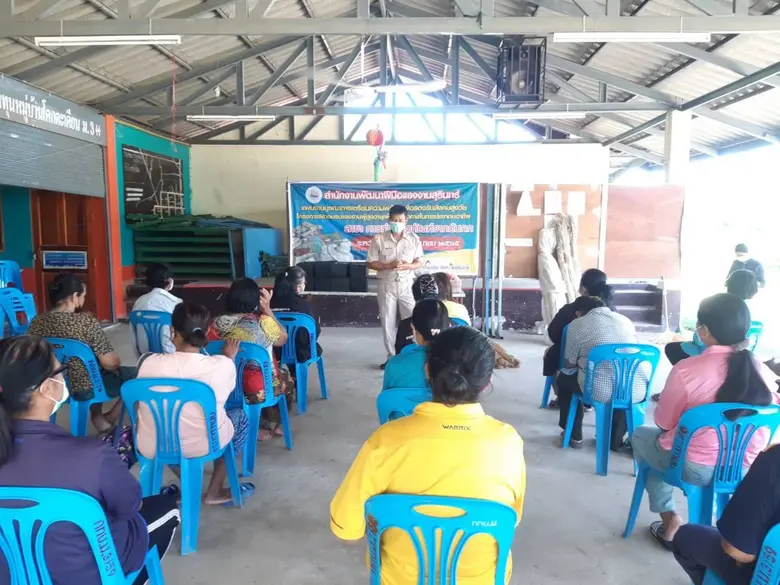 สำนักงานพัฒนาฝีมือแรงงานสุรินทร์ ฝึกอาชีพสร้างโอกาสการมีรายได้เพิ่มให้ผู้สูงอายุด้วยวัสดุจากต้นกก