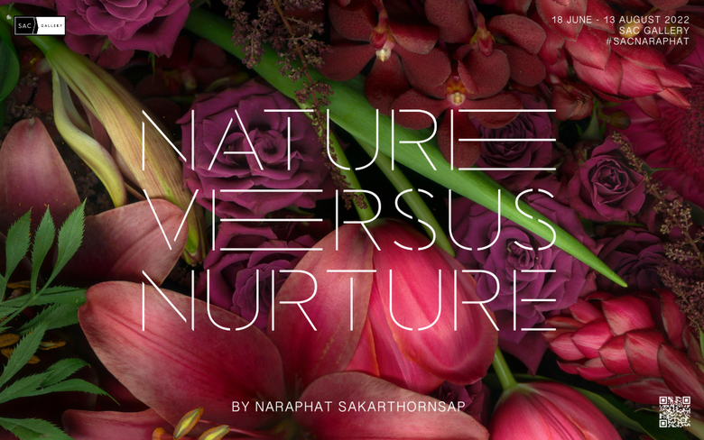 เอส เอ ซี แกลเลอรี (SAC Gallery) ขอเชิญชม...