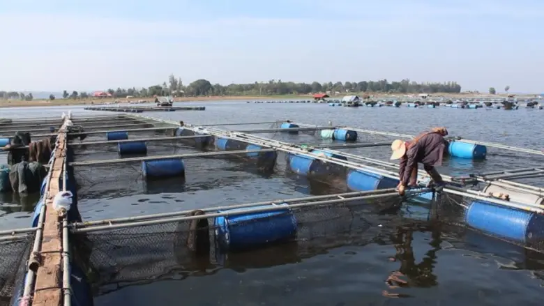 นางสุจารีย์ พิชา ผู้อำนวยการสำนักงานเศรษฐ...