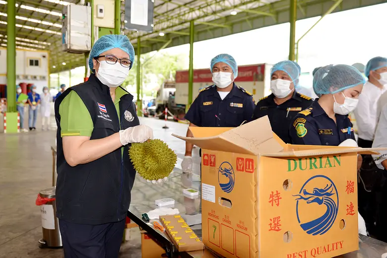 กรมวิชาการเกษตร ชูมาตรการ GMP plus แกร่งเ...