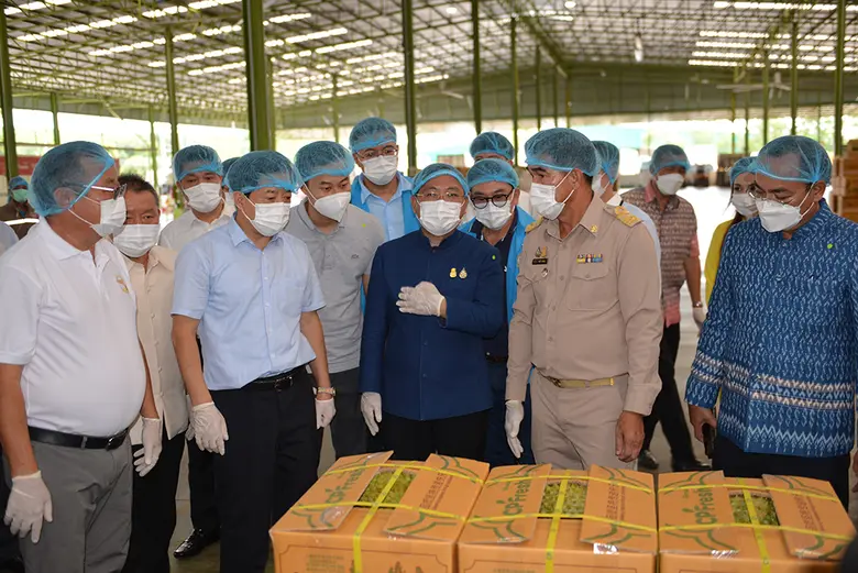 กรมวิชาการเกษตรตอกย้ำมาตรการ GMP plus เฉียบสร้างความเชื่อมั่นทุเรียนไทยปลอดภัยครองใจตลาดจีน