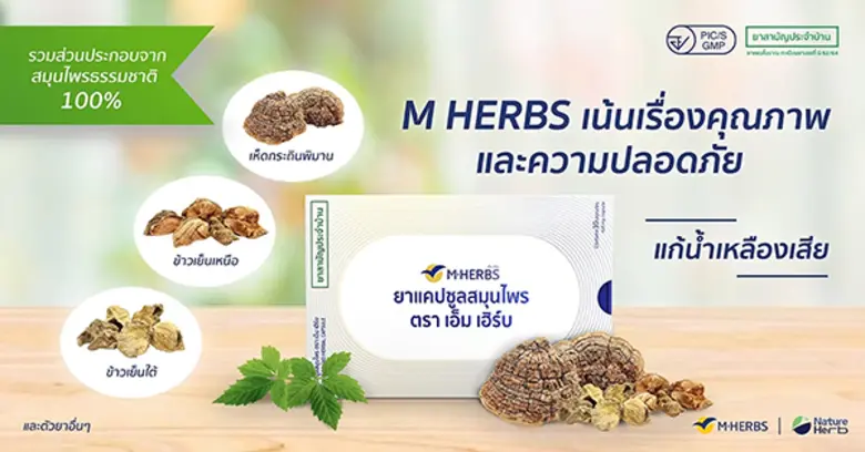 M HERBS ยาแคปซูลสมุนไพร ฟื้นฟูระบบไหลเวียนเลือดและน้ำเหลือง