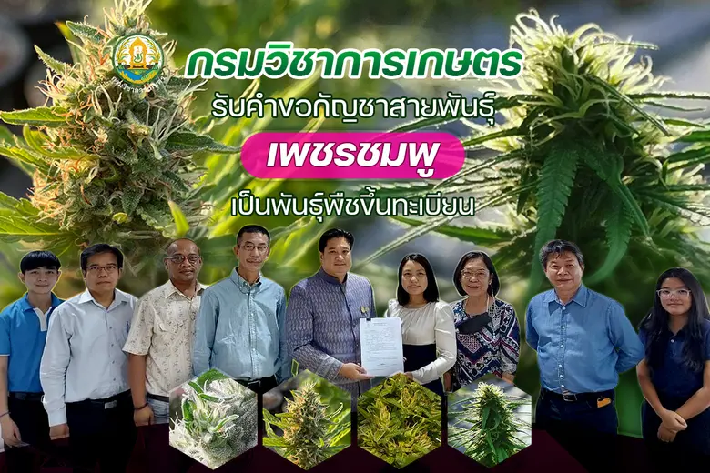 กรมวิชาการเกษตรรับคำขอให้ออกหนังสือรับรอง...