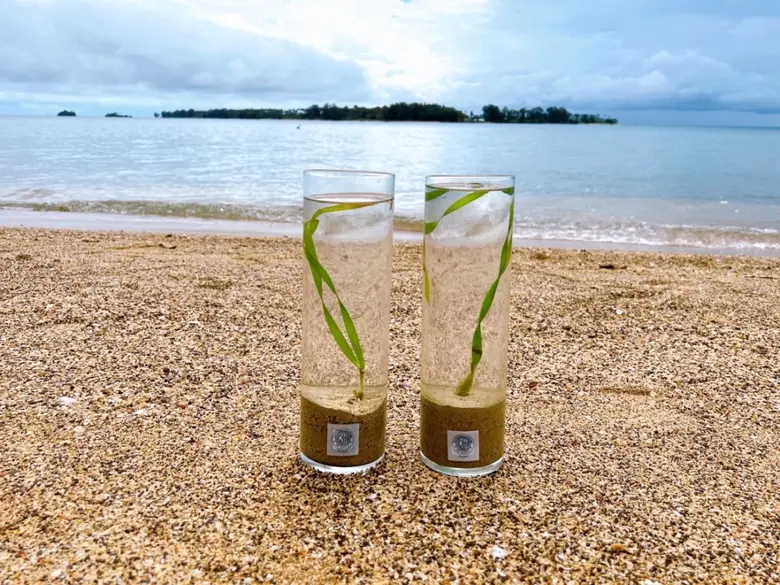 กลุ่มบางจากฯ ร่วมขับเคลื่อนประเทศสู่สังคมคาร์บอนต่ำ  มุ่งสู่ Net Zero ในปี 2050 ด้วยแผน "BCP NET"