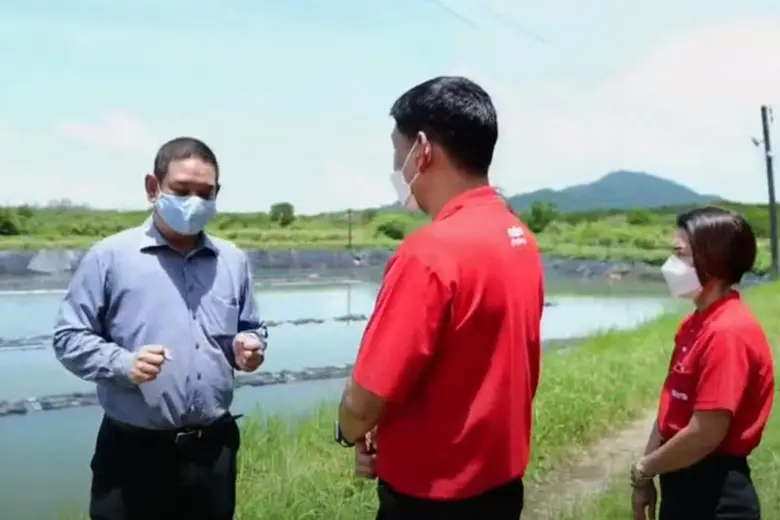 บริษัท เก้าดาวฟาร์ม (2005) จำกัด ผู้ผลิตป...