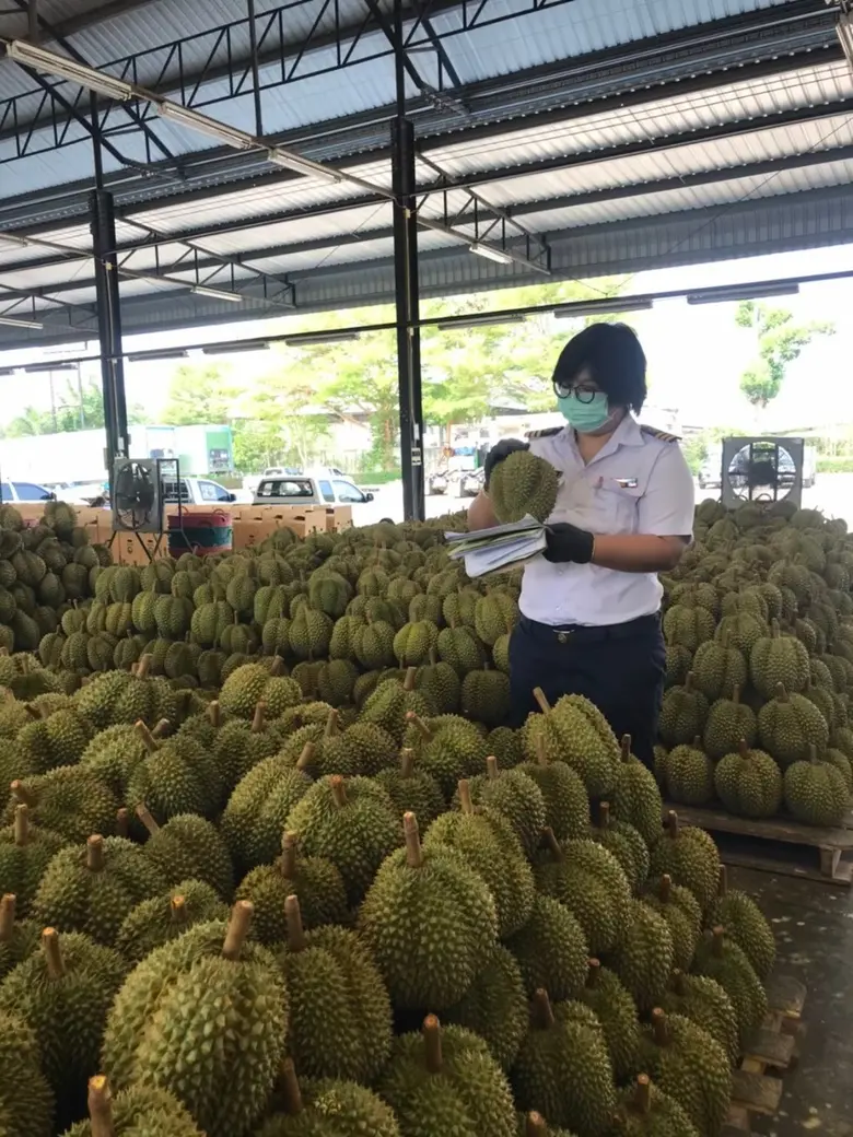 มนัญญา แจ้งข่าวดีส่งออกสินค้าเกษตรปี 65 แซงหน้าปี 64 ปริมาณกว่า 15 ล้านตัน เกิน 4 แสนล้านบาท