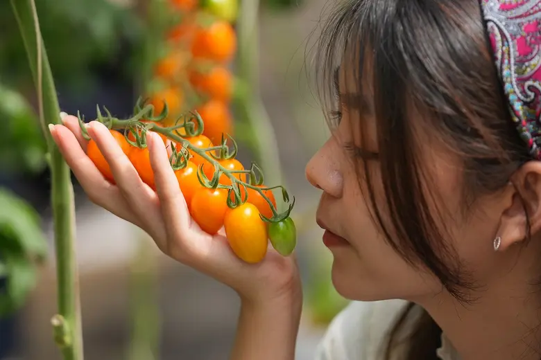 จากยอดดอยสู่ใจกลางเมือง "มูลนิธิโครงการหลวง" เตรียมคัดสรรผลิตภัณฑ์คุณภาพพรีเมียม กว่า 3,000 รายการ ส่งตรงในงาน "โครงการหลวง 53" เริ่มวันที่ 4-14 ส.ค.65 นี้