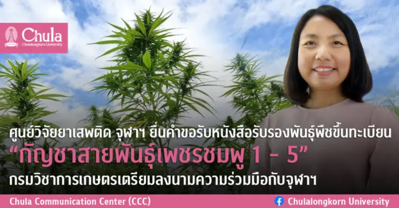 จุฬาลงกรณ์มหาวิทยาลัย โดยศูนย์วิจัยยาเสพต...