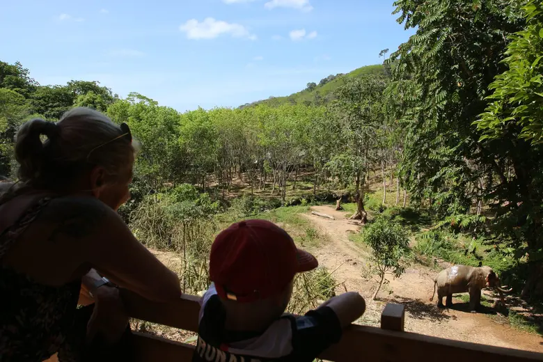 กลุ่มสปีซ (Spies Group) จะรวมแนวทางการทำง...