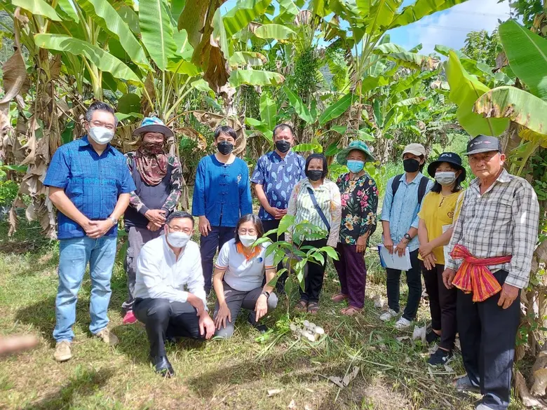 วว. จับมือพันธมิตร จัดงาน "ปลูกป่า ปลูกเห็ด" ณ จังหวัดแพร่ ส่งเสริมสนับสนุนเกษตรกรรมตามปรัชญาเศรษฐกิจพอเพียง เพิ่มพื้นที่สีเขียว ชุมชนเข้มแข็ง พึ่งพาตนเองได้