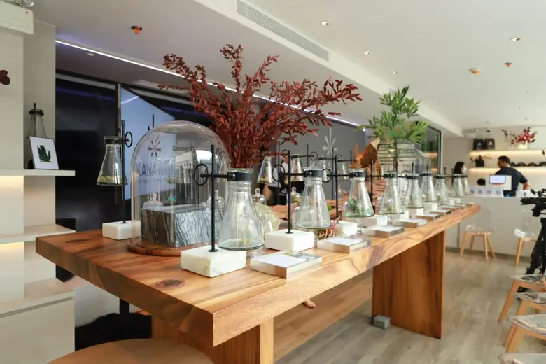 BC เปิดตัวคลินิกกัญชา "KANA Pure Dispensary" สาขาแรกในไทย ผงาดสู่ปลายน้ำอุตสาหกรรม