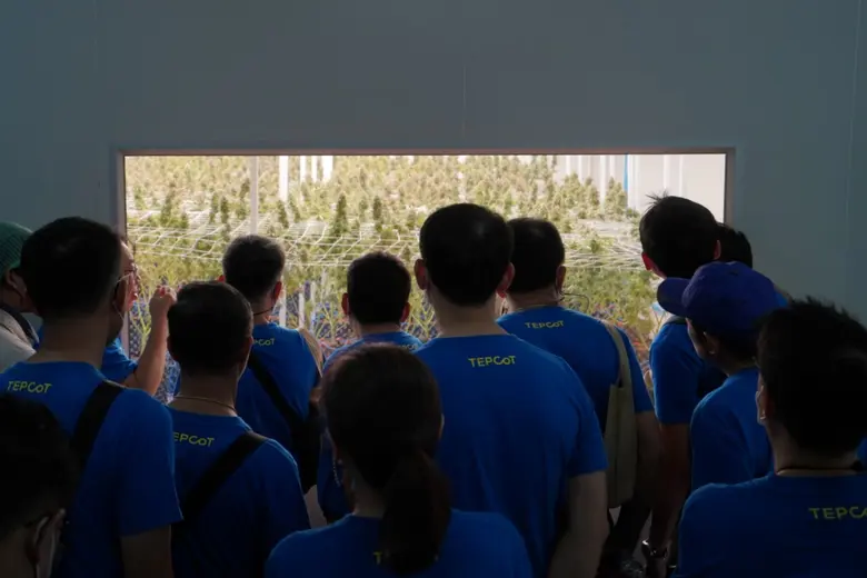 TEPCoT 14 ศึกษาดูงาน ณ เพ ลา เพลิน จ.บุรีรัมย์ ยกระดับสมุนไพรไทย เจาะลึกองค์ความรู้กัญชา-กัญชงจากมุมมองสาธารณสุข สู่เชิงเศรษฐกิจและอุตสาหกรรม