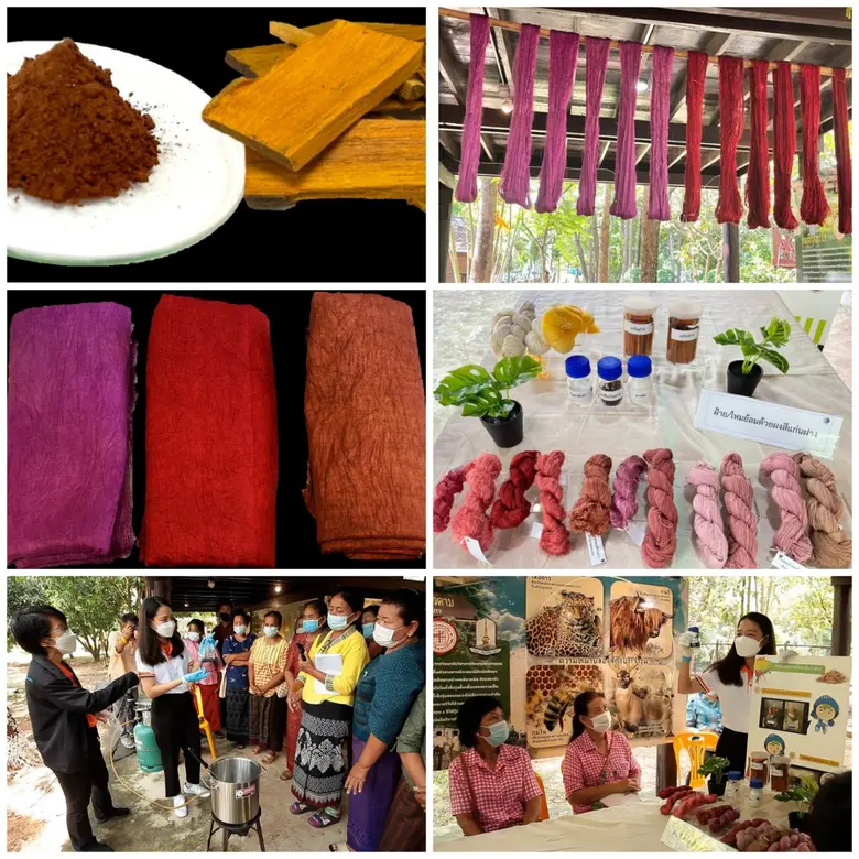 วว. ประสบผลสำเร็จวิจัยและพัฒนา "ผงสีย้อมผ...