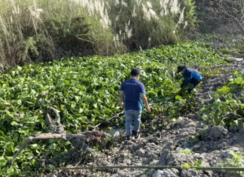 บมจ.ไพโอเนียร์ มอเตอร์ (PIMO-ไพโม่) ผู้ผล...