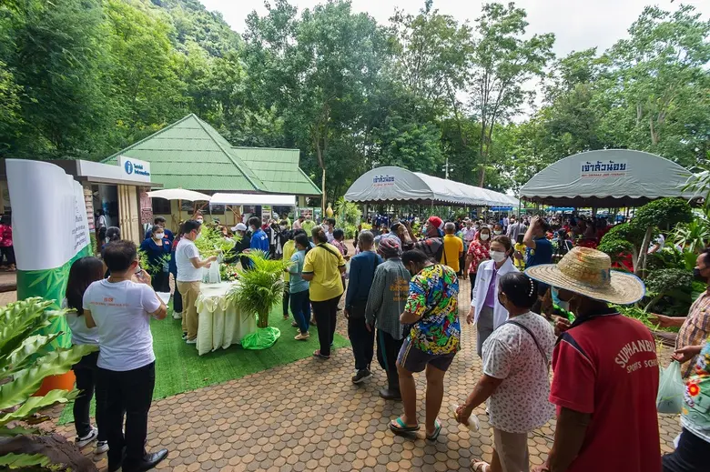 LEO จับมือวิสาหกิจชุมชนสุขฤทัย เกษตรปลอดภัย จ.อุทัยธานี สร้างโมเดลธุรกิจ "ขายต้นกล้ากัญชา" ส่งเสริมรายได้ให้ชุมชน
