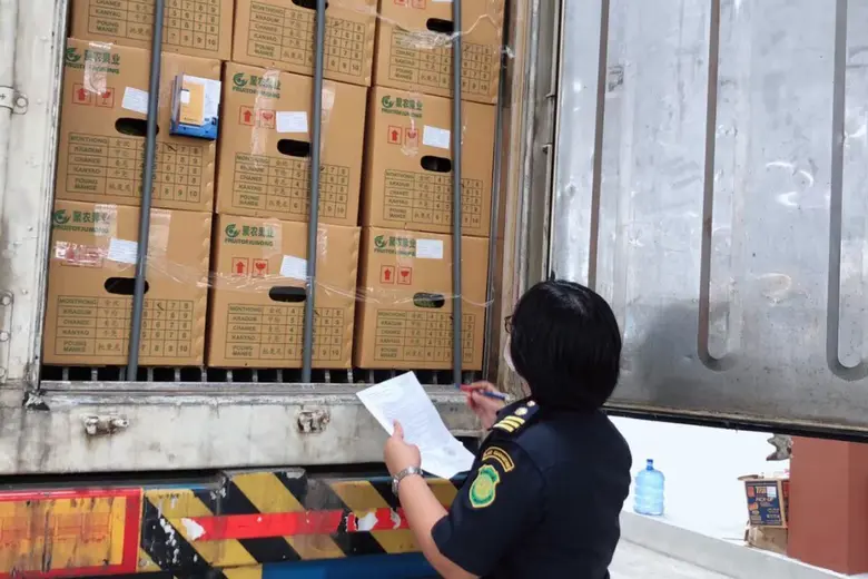 ผลไม้สดไทยทุบสถิติยอดส่งออกไปจีนปี 65 ปริมาณเกิน 1 ล้านตัน มูลค่ากว่า 9 หมื่นล้านบาท