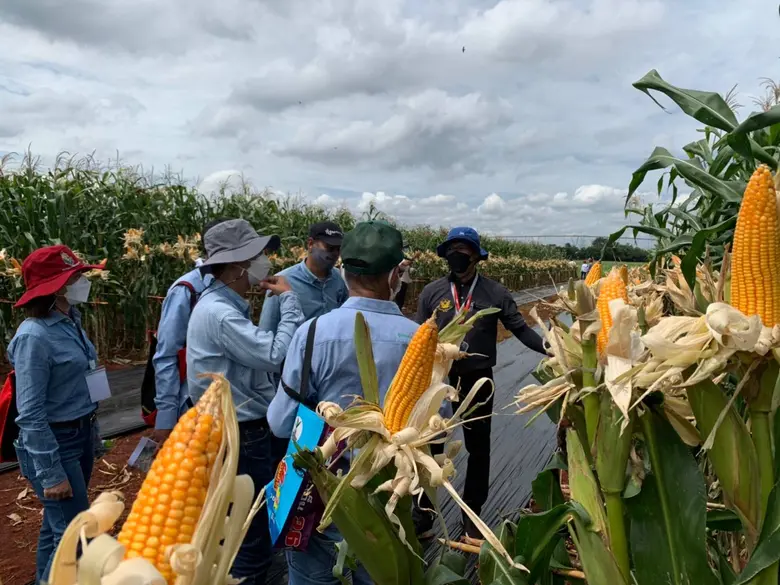 คณะเกษตรศาสตร์และทรัพยากรธรรมชาติ มหาวิทย...
