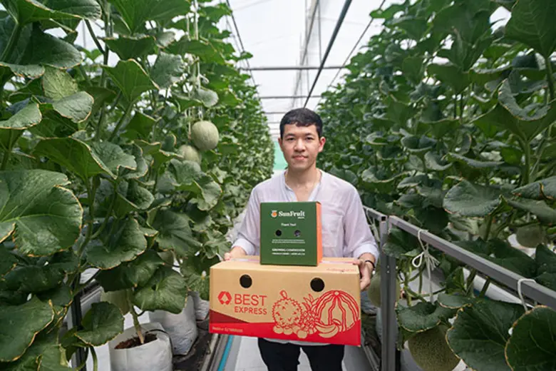 ถอดเคล็ดลับความสำเร็จของฟาร์มเมล่อนญี่ปุ่...