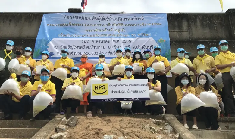 บริษัท เนชั่นแนล เพาเวอร์ ซัพพลาย จำกัด (...