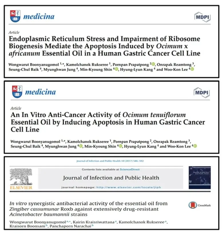 ม.มหิดล ค้นพบสารสกัดน้ำมันหอมระเหยจากพืชผักสวนครัว มีฤทธิ์ยับยั้งเซลล์มะเร็งกระเพาะอาหารในระดับหลอดทดลอง