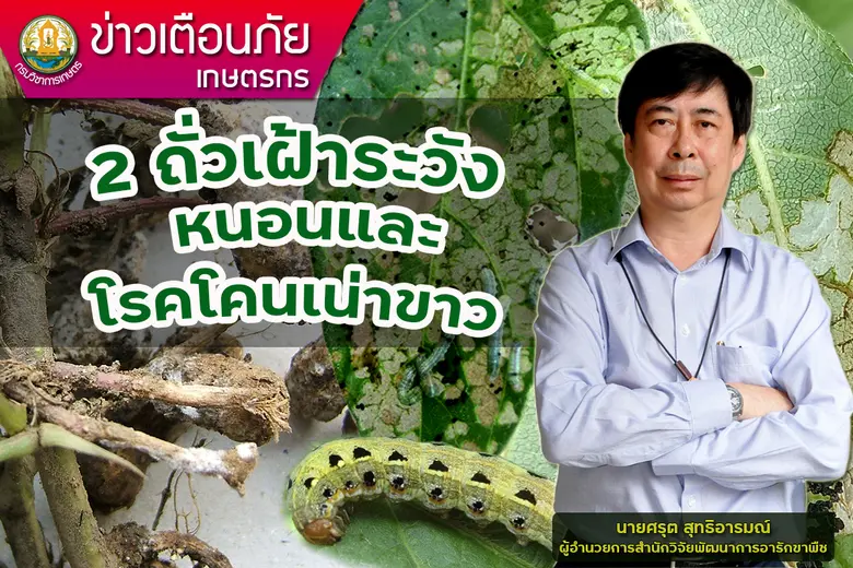 นายศรุต สุทธิอารมณ์ ผู้อำนวยการสำนักวิจัยพัฒนาการอา...