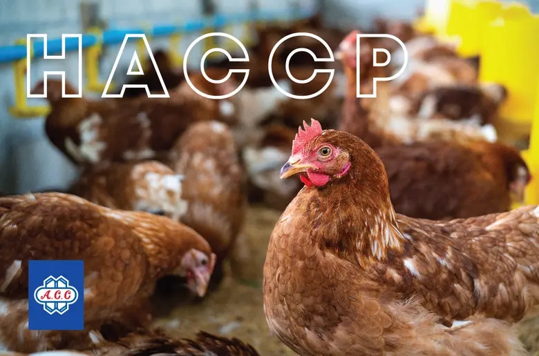HACCP ( Hazard Analysis Critical Control ...