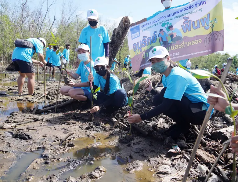 บริษัท สแตนดาร์ด แมนูแฟคเจอริ่ง จำกัด ร่วมกิจกรรม โครงการอนุรักษ์ ฟื้นฟูป่าชายเลนและลำคลอง