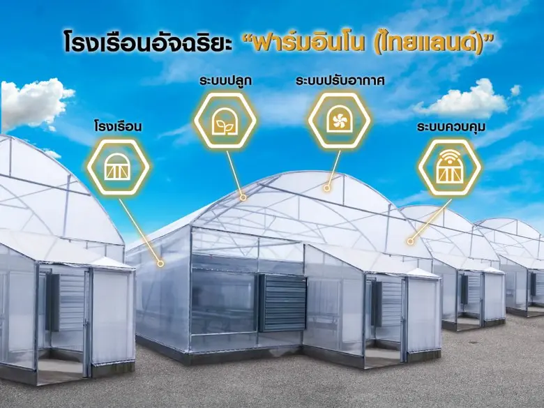 พืชกัญชาเป็นหนึ่งในพืชเศรษฐกิจ ซึ่งต้องใช...